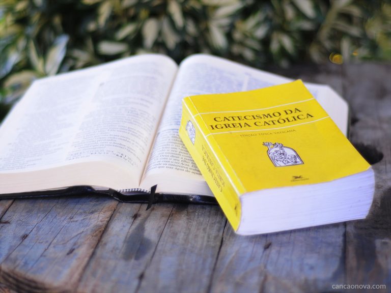Cena de estudo com o Catecismo da Igreja Católica, edição de capa amarela, repousando sobre as páginas de uma Bíblia. 
            Os livros estão sobre uma superfície de madeira rústica, com o fundo desfocado mostrando plantas, criando uma atmosfera serena.
